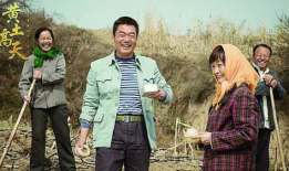 农村题材的电视剧,农村变迁的电视剧纪事